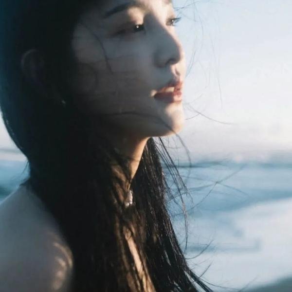 蓬莱龙棺之徐福宝藏 封面